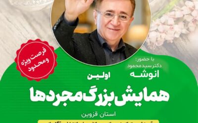 اولین همایش بزرگ مجردها در استان قزوین برگزار می شود